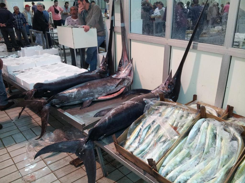 مبيت وإفطار سانتا فلافيا La Caletta المظهر الخارجي الصورة
